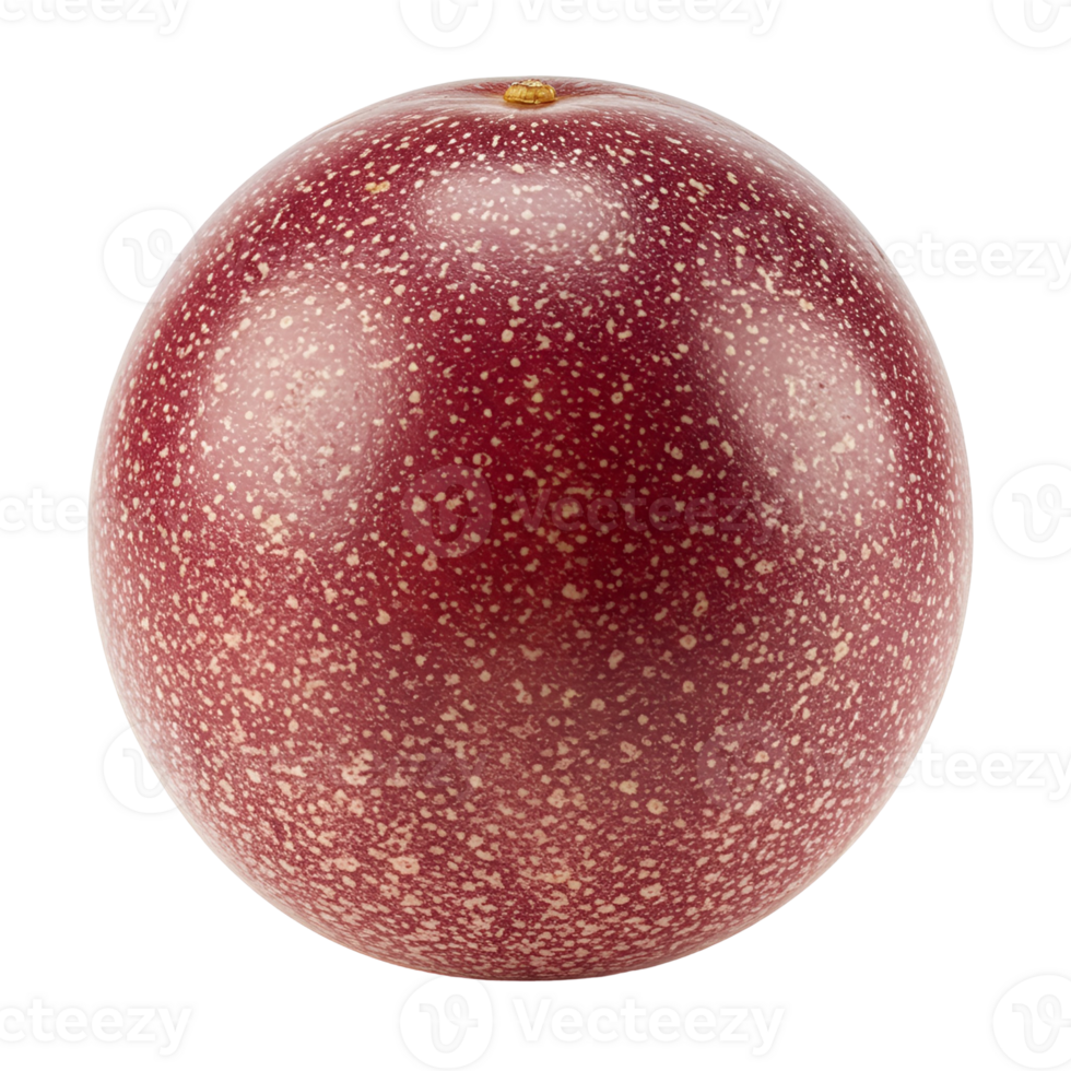 Isolated passion fruit with a speckled surface and a small stem on a plain solid color space around it transparent background png