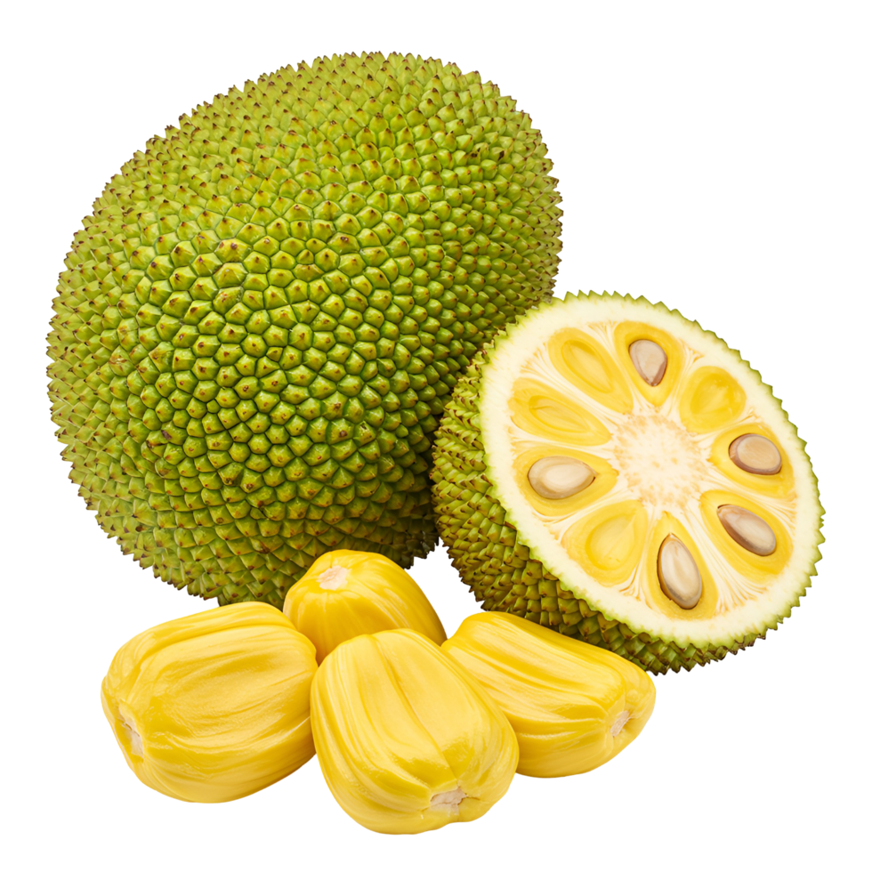A display of jackfruit a whole one, a halved one, and several segments on a neutral surface area transparent background png