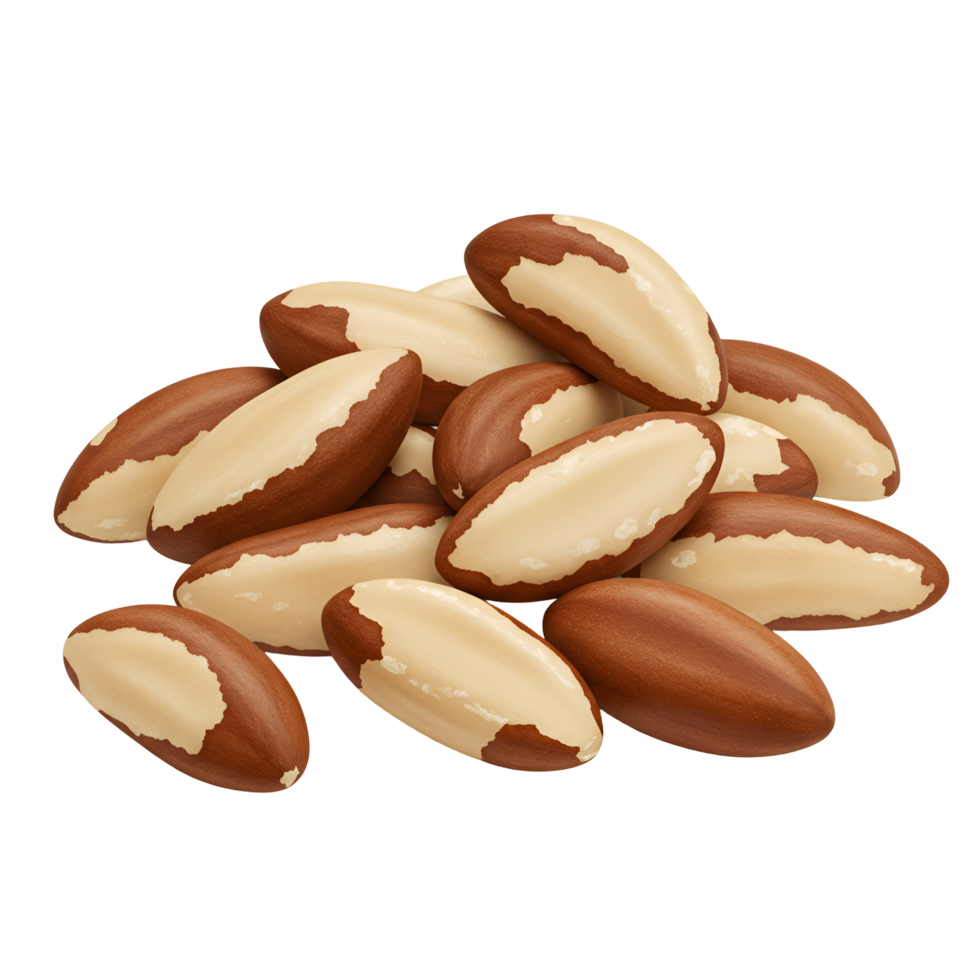 A pile of brazil nuts with brown shells and cream colored insides on a plain transparent field transparent background png