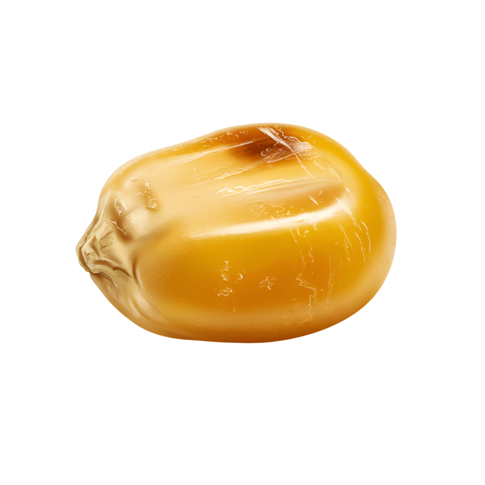 A single kernel of corn, illuminated, showing its golden color and smooth, shiny surface texture detail transparent background png