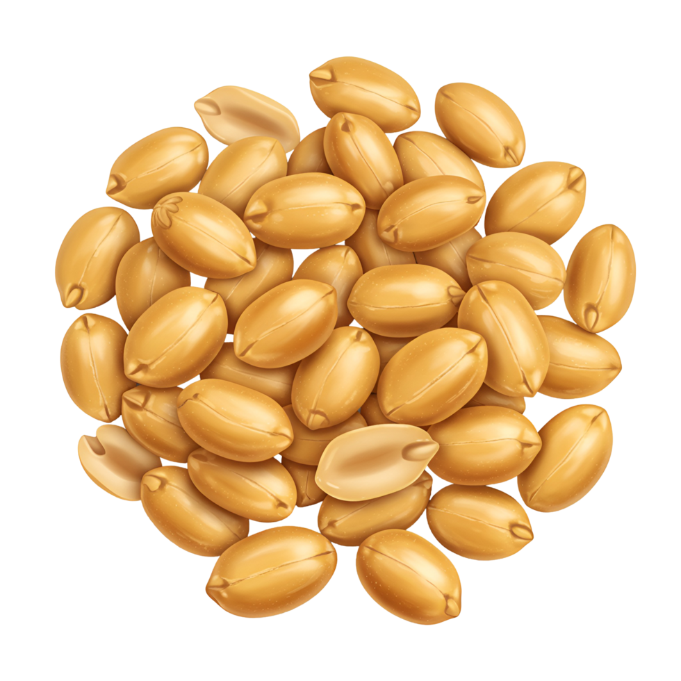 A top view of a pile of roasted peanuts arranged in a circular pattern on a plain surface image art transparent background png