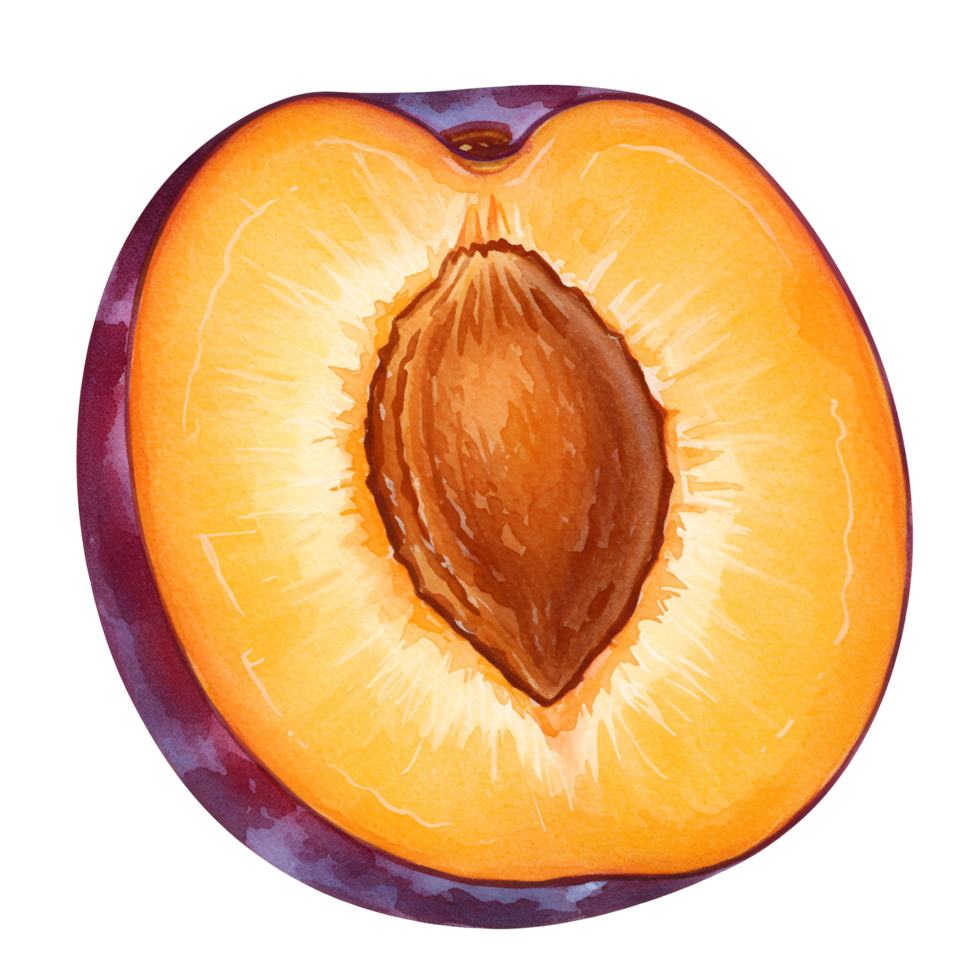 A vibrant illustration of a plum cut in half revealing its pit on a plain isolated space around it transparent background png