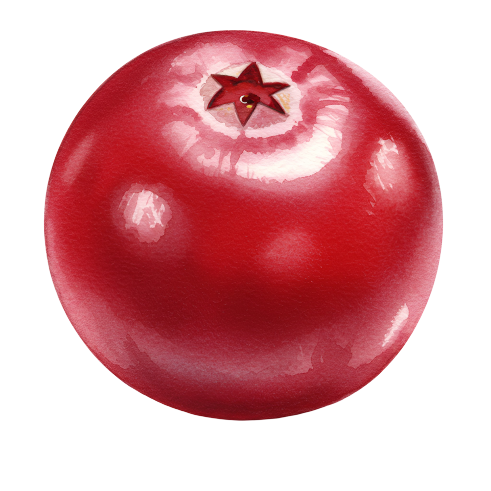 A close up view of a single shiny cranberry with a star shaped pattern at the top on a plain space transparent background png
