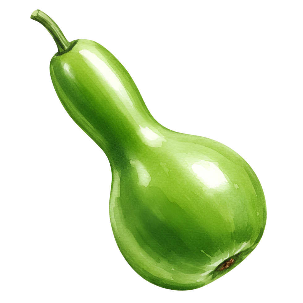 A single light green bottle gourd with a stem isolated against a plain solid color backdrop transparent background png