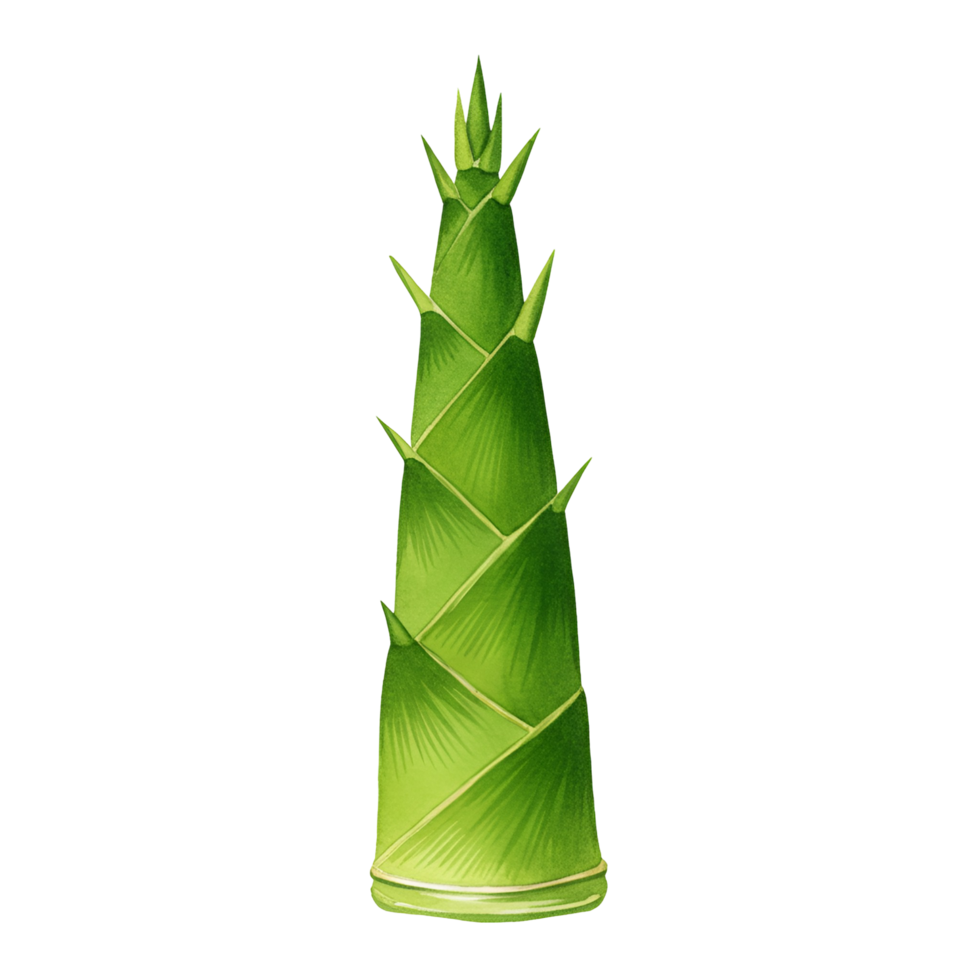 Isolated image showcasing a vibrant green bamboo shoot against a plain background in a studio shot transparent background png