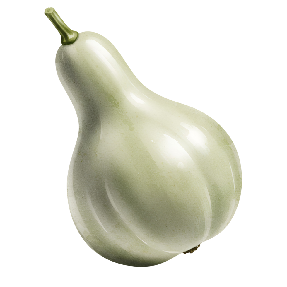 Isolated image of a light green bottle gourd with a stem on a plain solid color surrounding area transparent background png