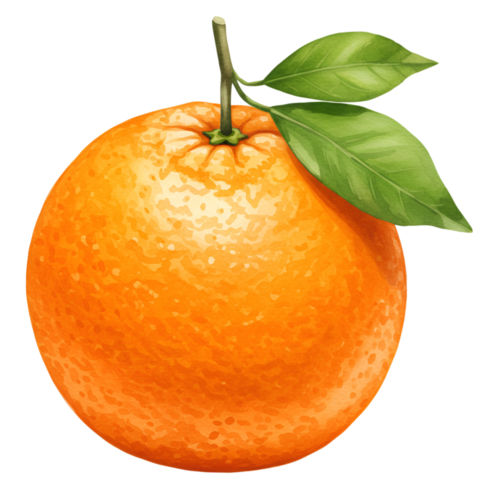 An illustration of a single orange with stem and leaves against a plain colored space around it transparent background png