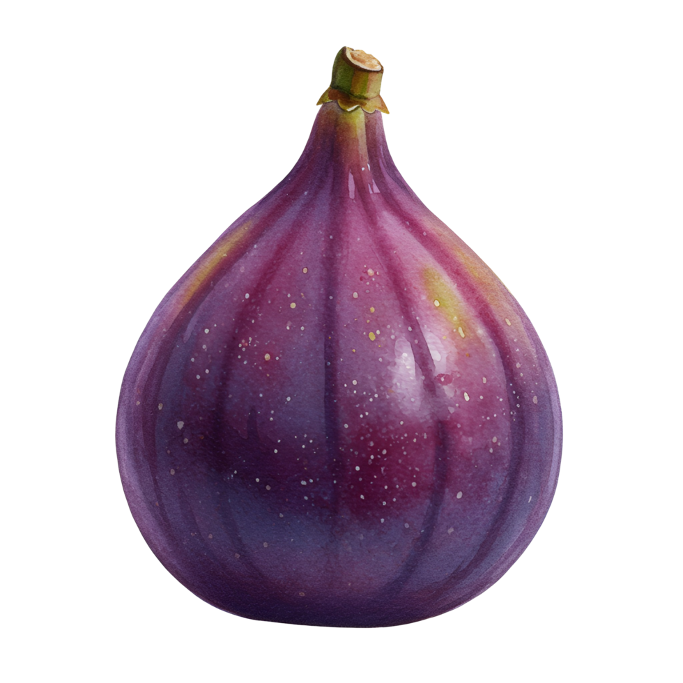 A single ripe fig with purple skin and a small stem against a plain solid color background space around it transparent background png