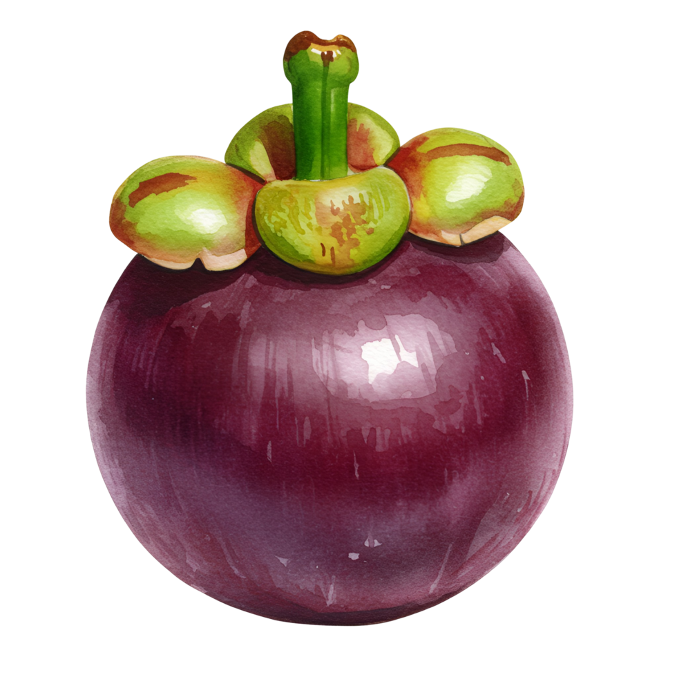 A single mangosteen fruit with green stem and sepals on a plain isolated solid color space view transparent background png