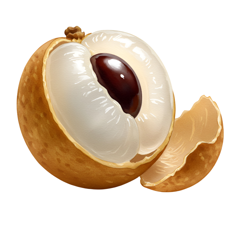 A close up of a longan fruit with a section removed revealing the seed and translucent flesh inside it transparent background png