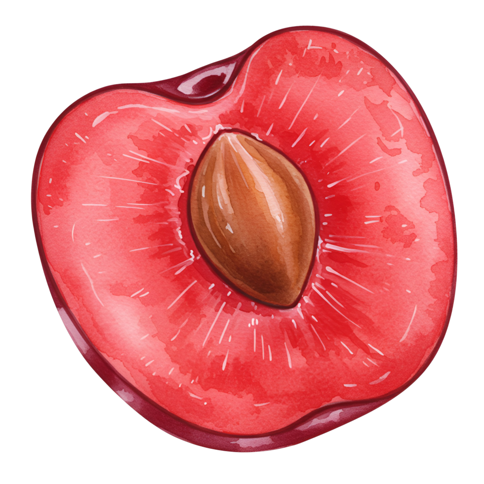 A watercolor illustration of a halved plum with a visible pit on a plain isolated space transparent background png