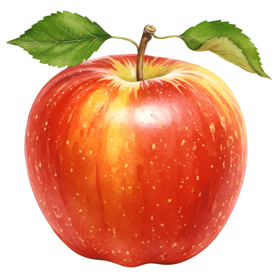 A single red apple with green leaves and a stem isolated on a plain transparent area view close up transparent background png