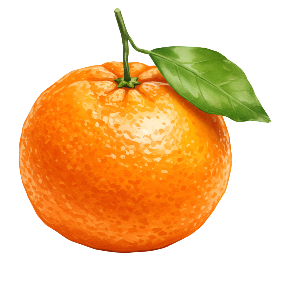 Isolated vibrant tangerine with stem and leaf against a plain contrasting surrounding space transparent background png