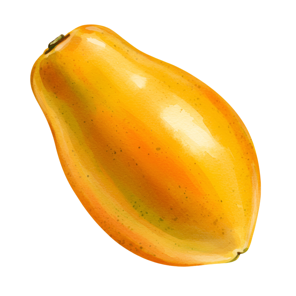 Isolated view of a ripe papaya fruit showing its smooth skin and vibrant color on a plain setting transparent background png