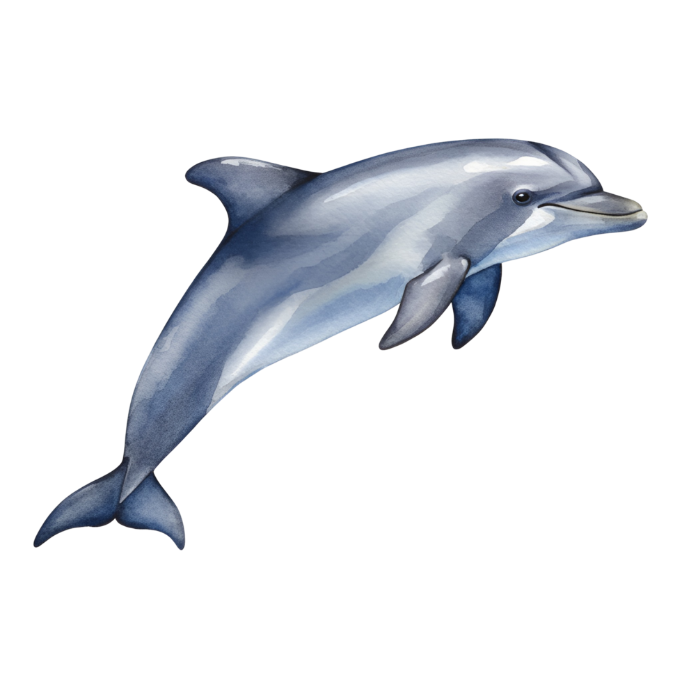 Illustration of a dolphin leaping gracefully with a smooth and sleek appearance in a vibrant scene transparent background png