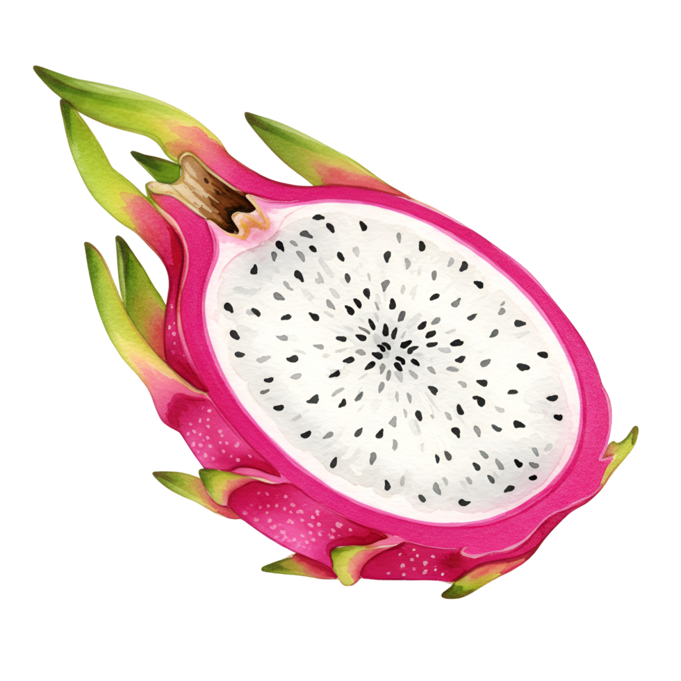 A vibrant half dragon fruit with white flesh and seeds on a plain solid color background image transparent background png