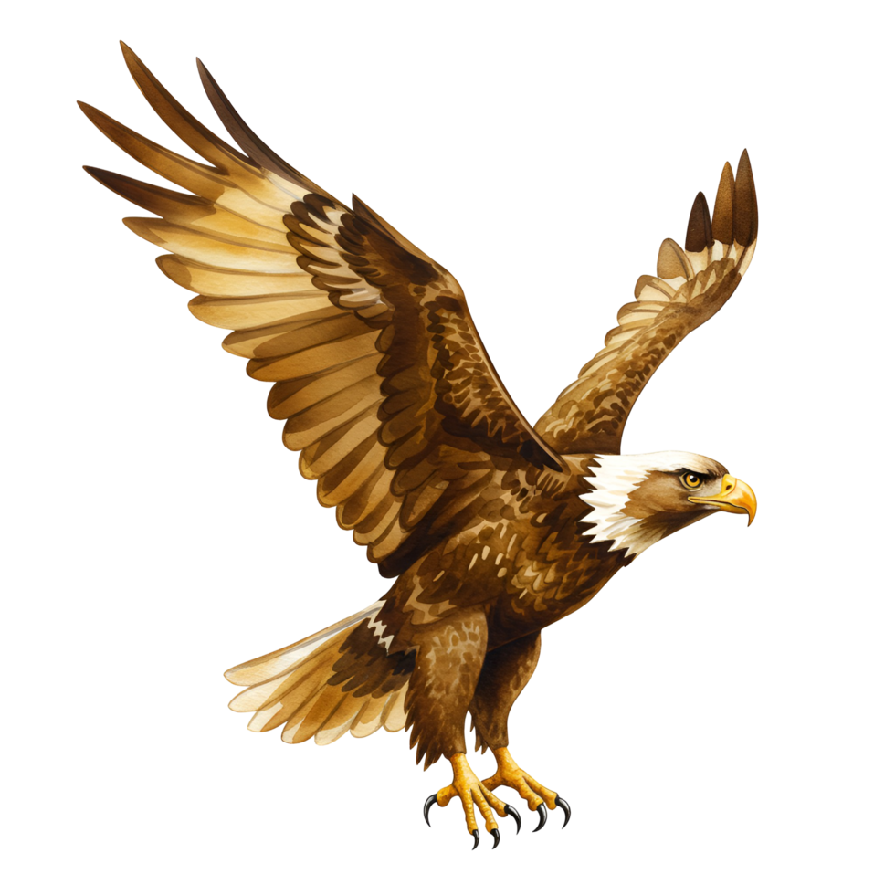 Illustration of a bald eagle with spread wings and white head against a plain backdrop transparent background png