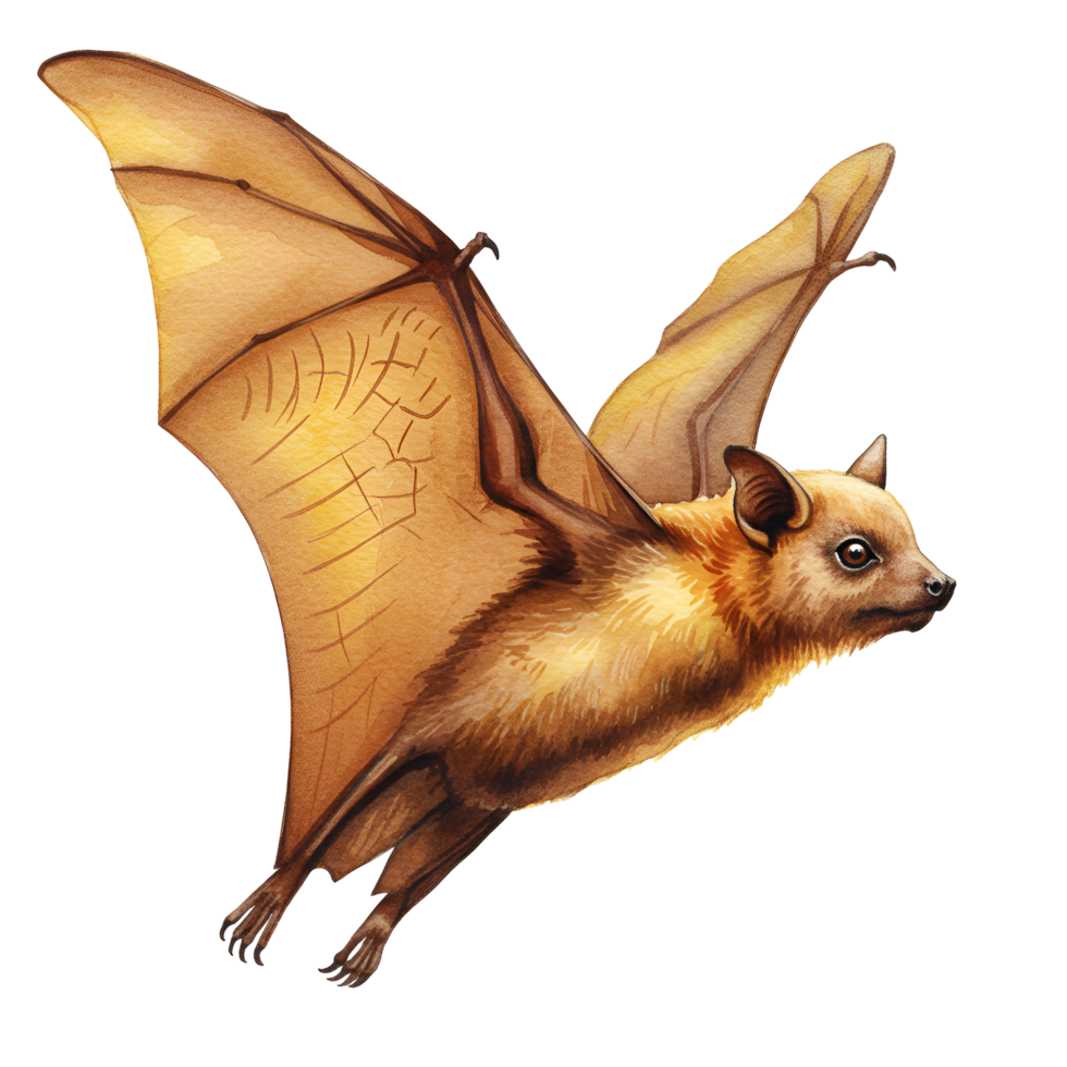 Illustration of a light brown bat with wings spread against a plain isolated background transparent background png