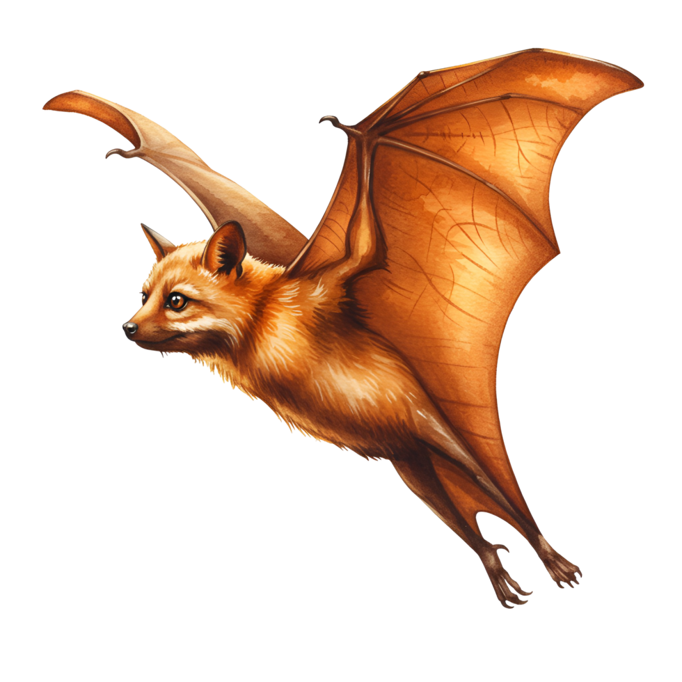 Illustration of a flying fox with orange wings and fur against a plain background space filling the frame transparent background png