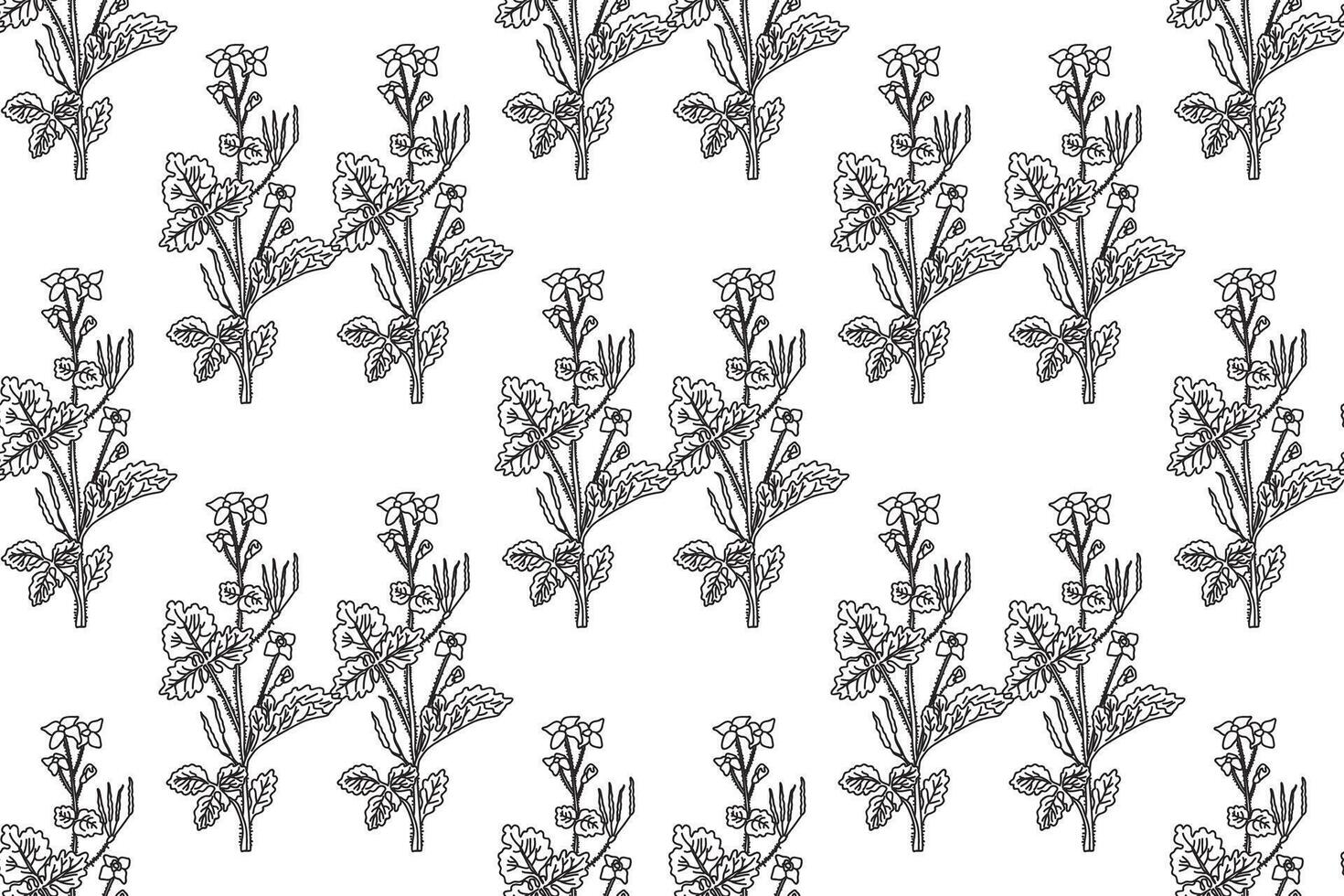 Line art botanical seamless floral pattern with celandine illustration.Black outline repeating plant pattern in white background. Graphic design for Fashion Cover Textile Coloring Page Birthday vector