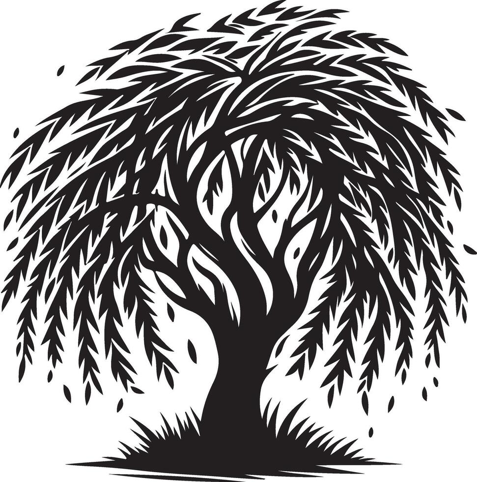 The black and white illustration of a willow tree vector