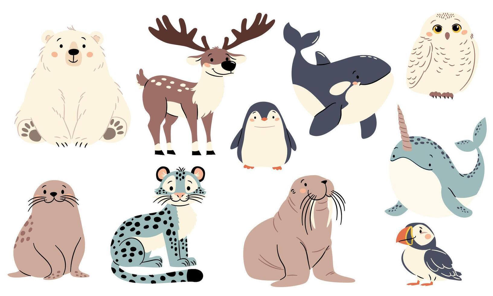 set of flat illustrations in a simple children's style. Cute animals of the north pole. Polar bear walrus walrus penguin snow leopard seal orca polar owl narwhal vector