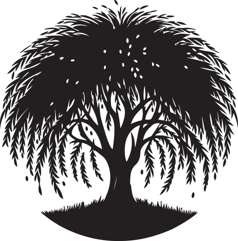 black and white illustration of a willow tree vector