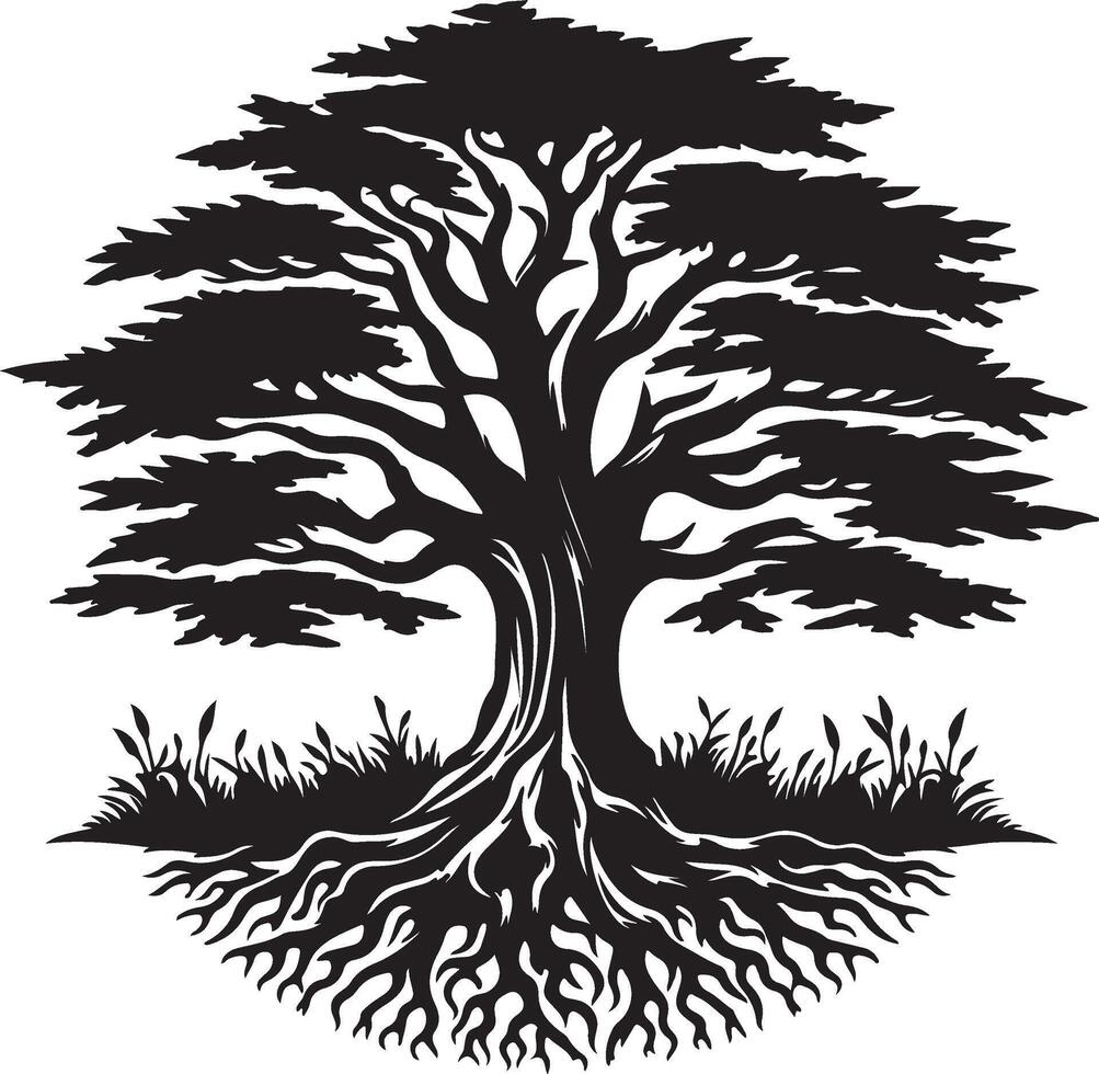the unique silhouette of a tree with roots vector