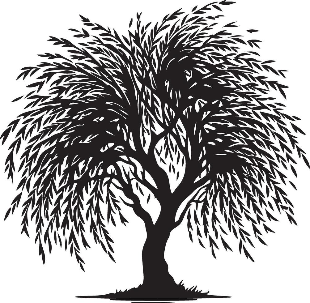 a black and white illustration of a willow tree vector