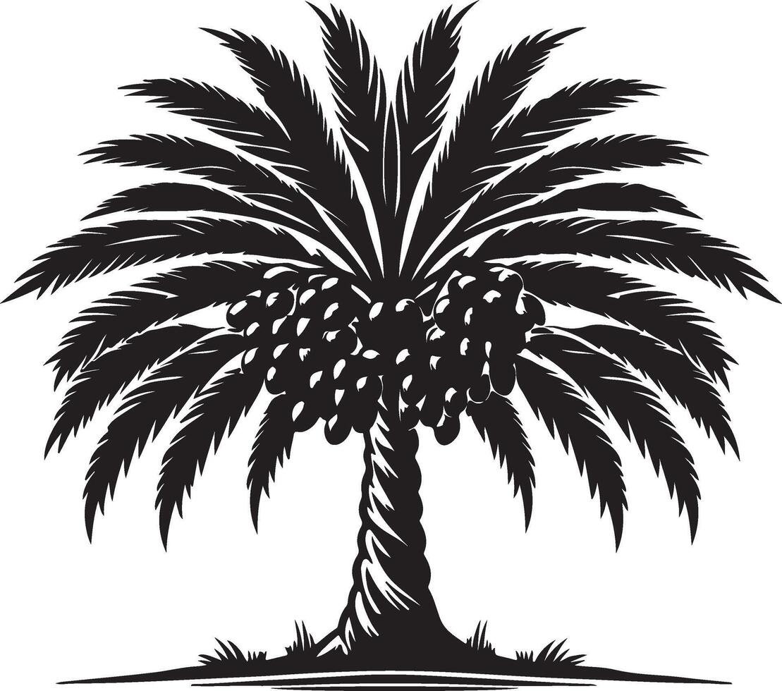 The palm tree with fruit on it vector