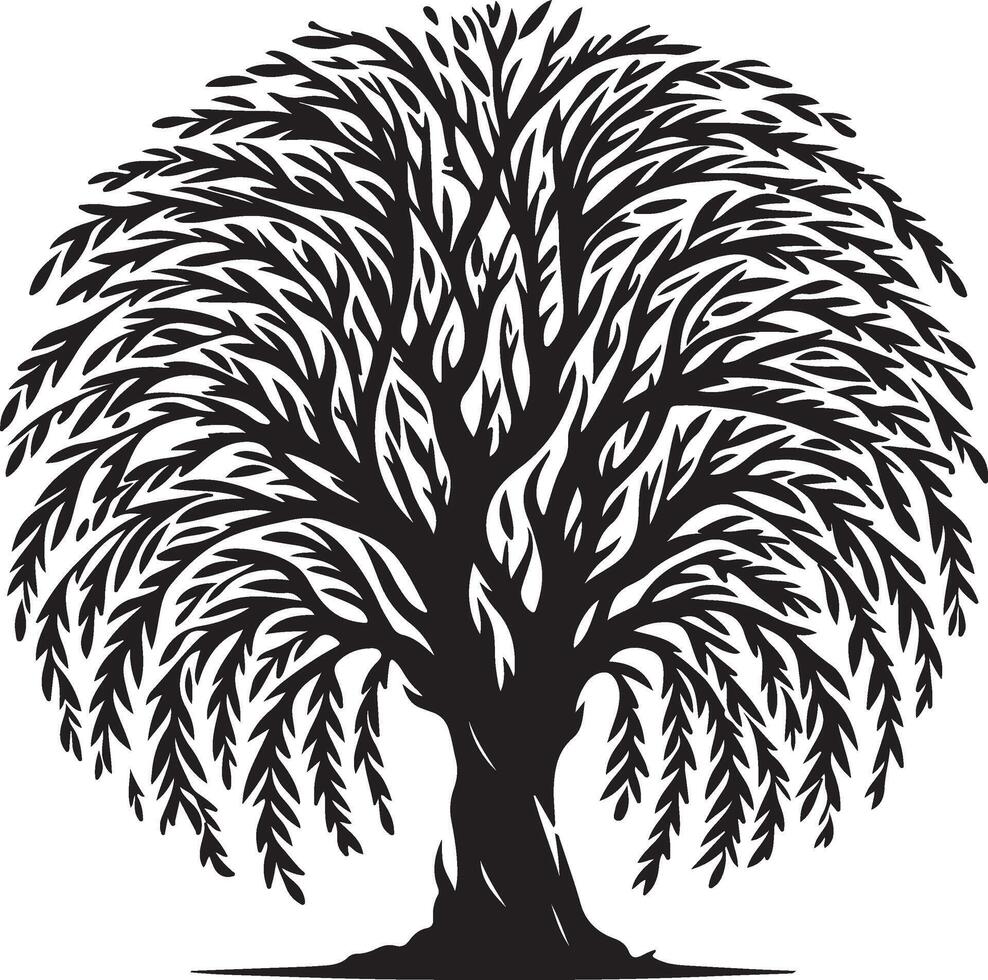 a black and white willow tree silhouette vector