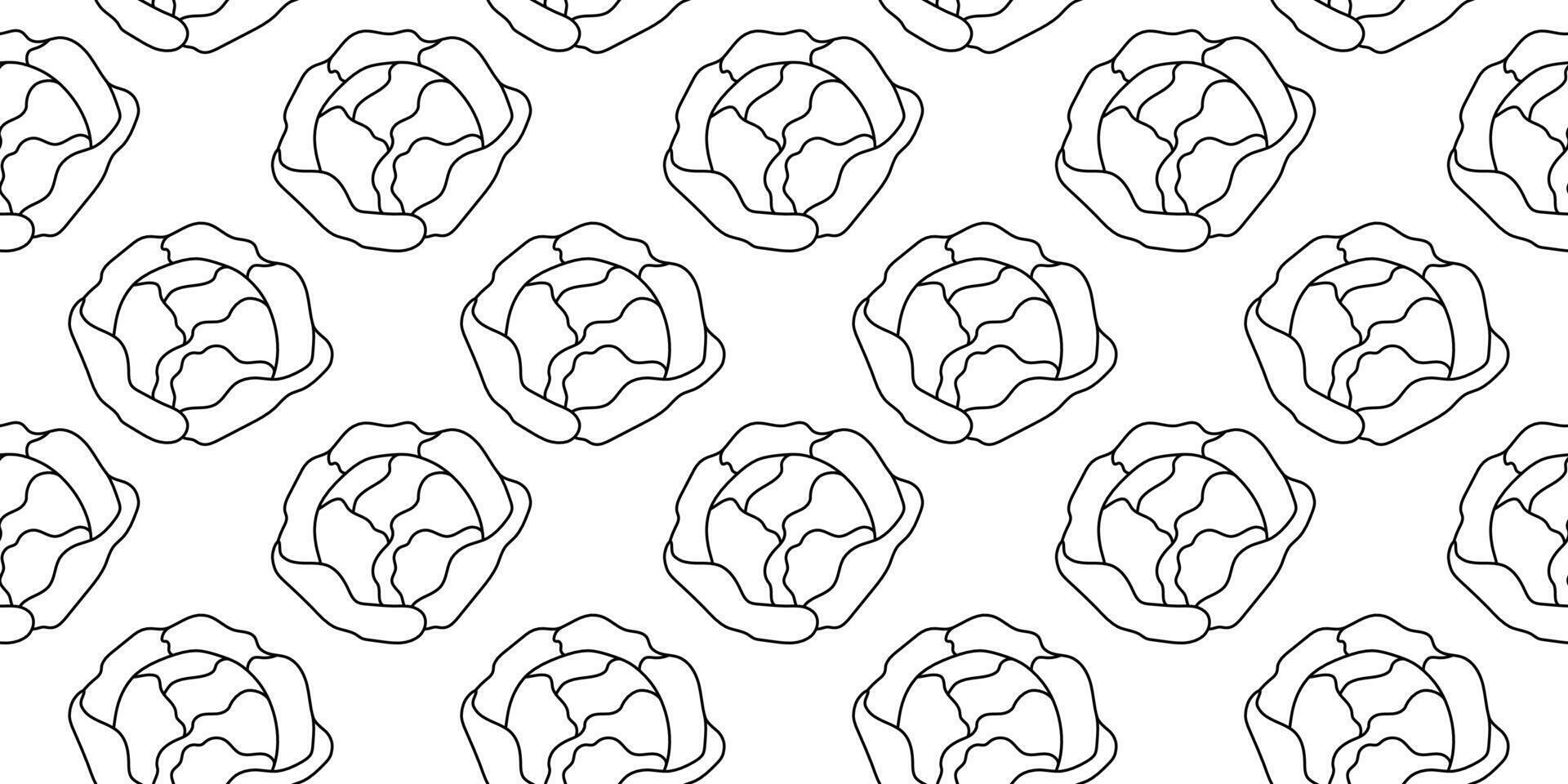 Stylized cabbage pattern for fresh food or garden-themed design vector
