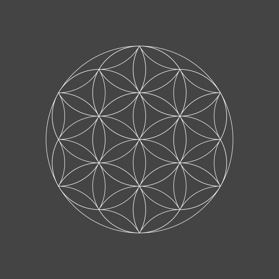 Flower of life emblem. Basic sacred geometry shapes. illustration on black background vector