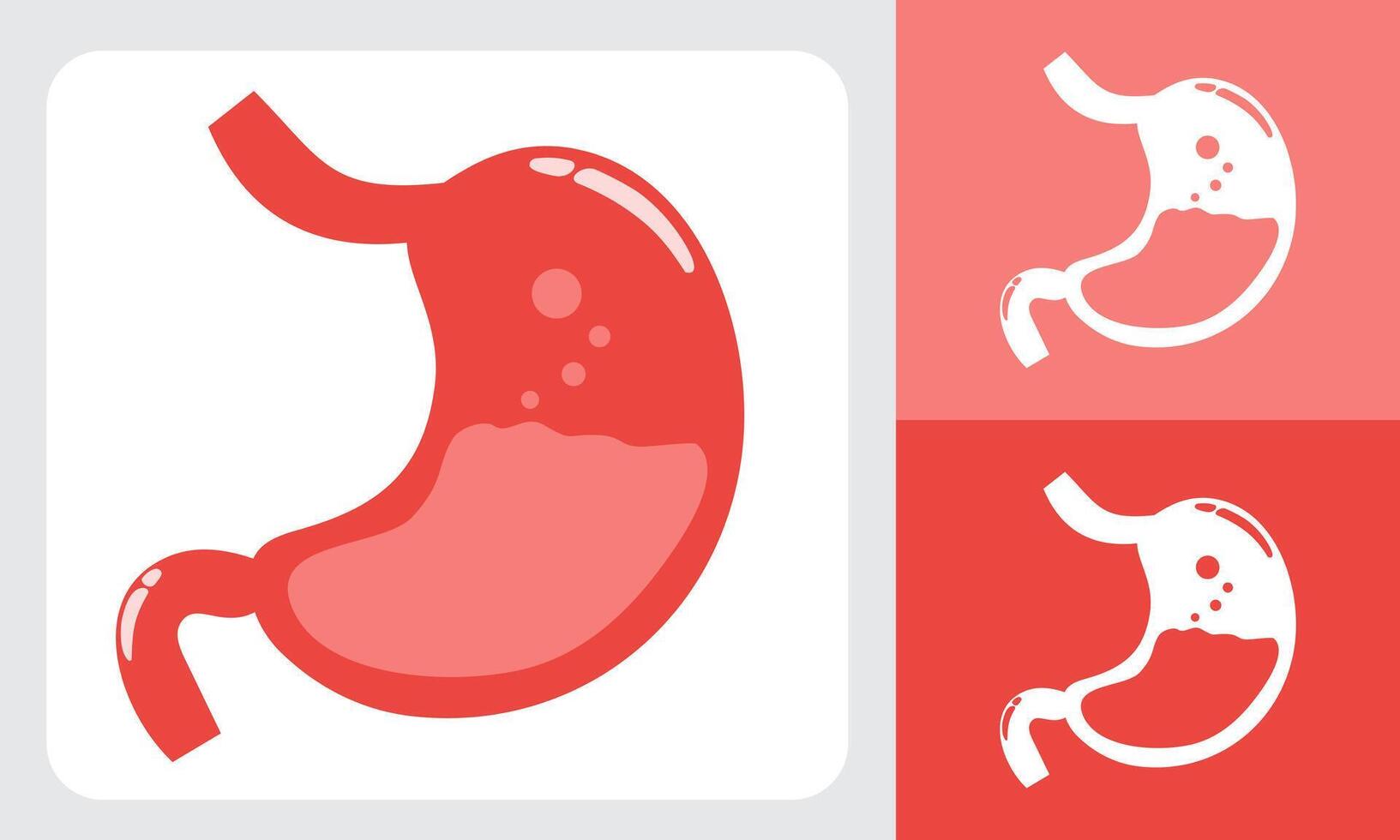 Stomach Anatomy Illustration with Detailed Structure and Medical Concept vector