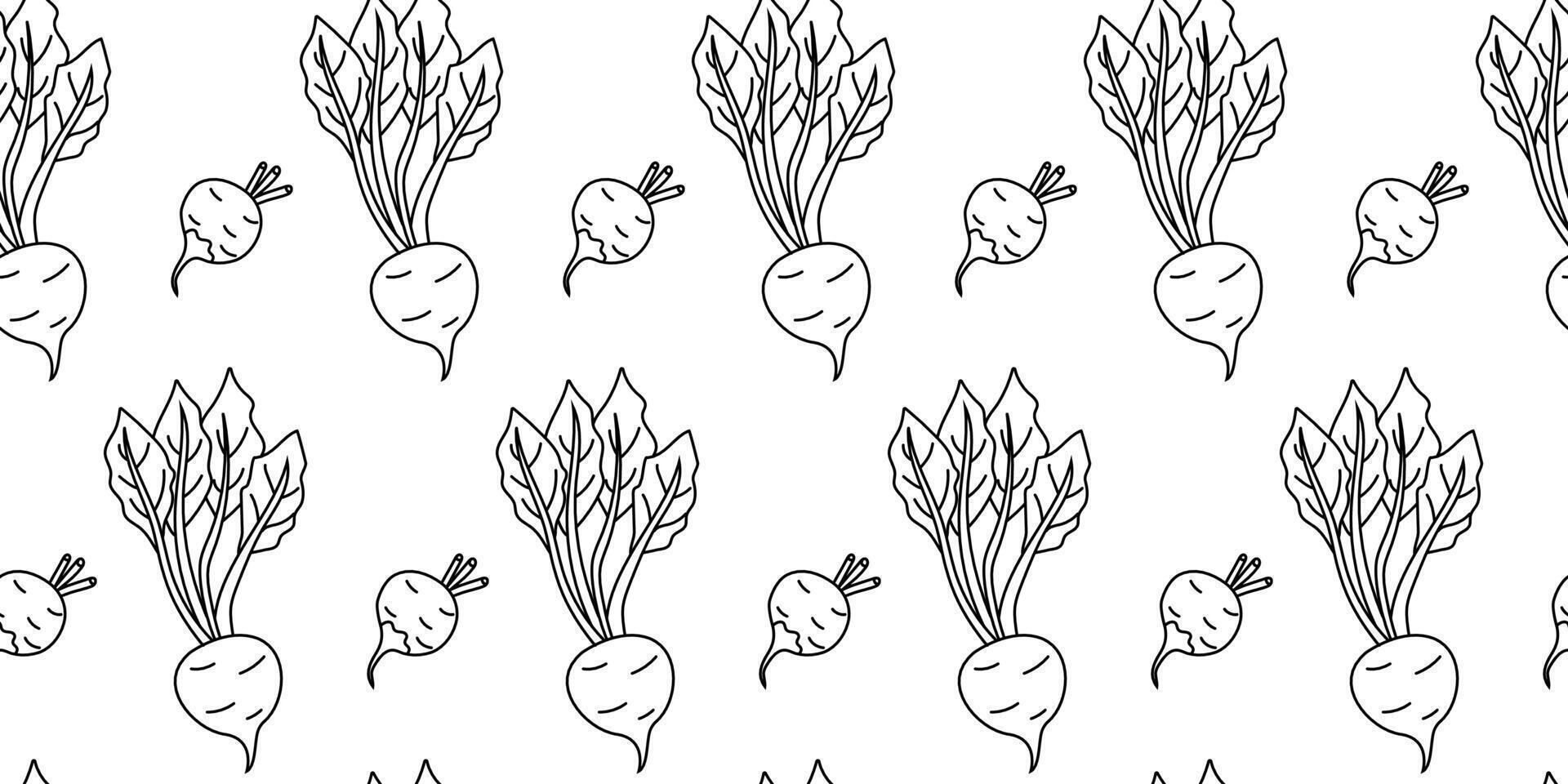 Colorful pattern of beets with leaves in a playful design for a kitchen or garden vector
