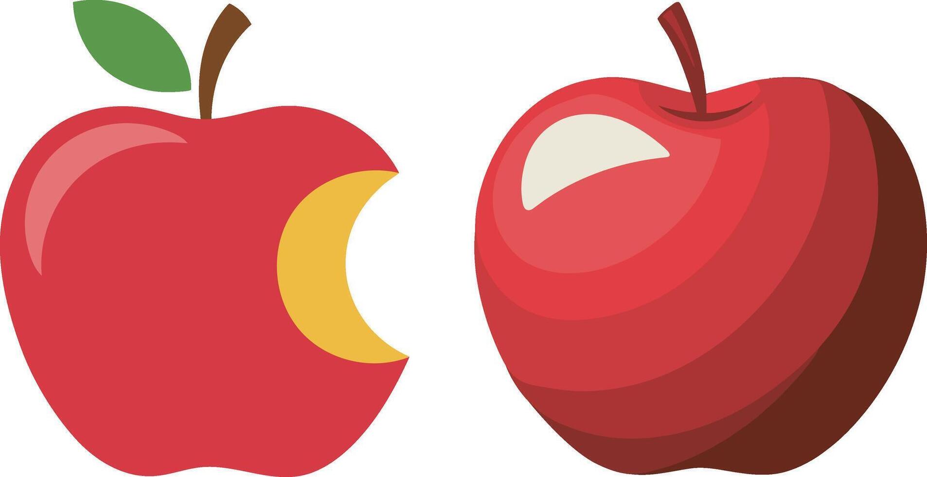 Illustration of Apple Set, High Quality Fruit Graphics Isolated on White Background vector