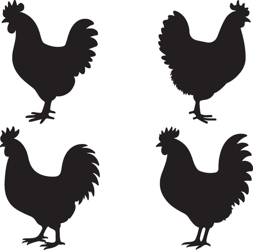 set of chicken illustration isolated on white background eps 10 vector