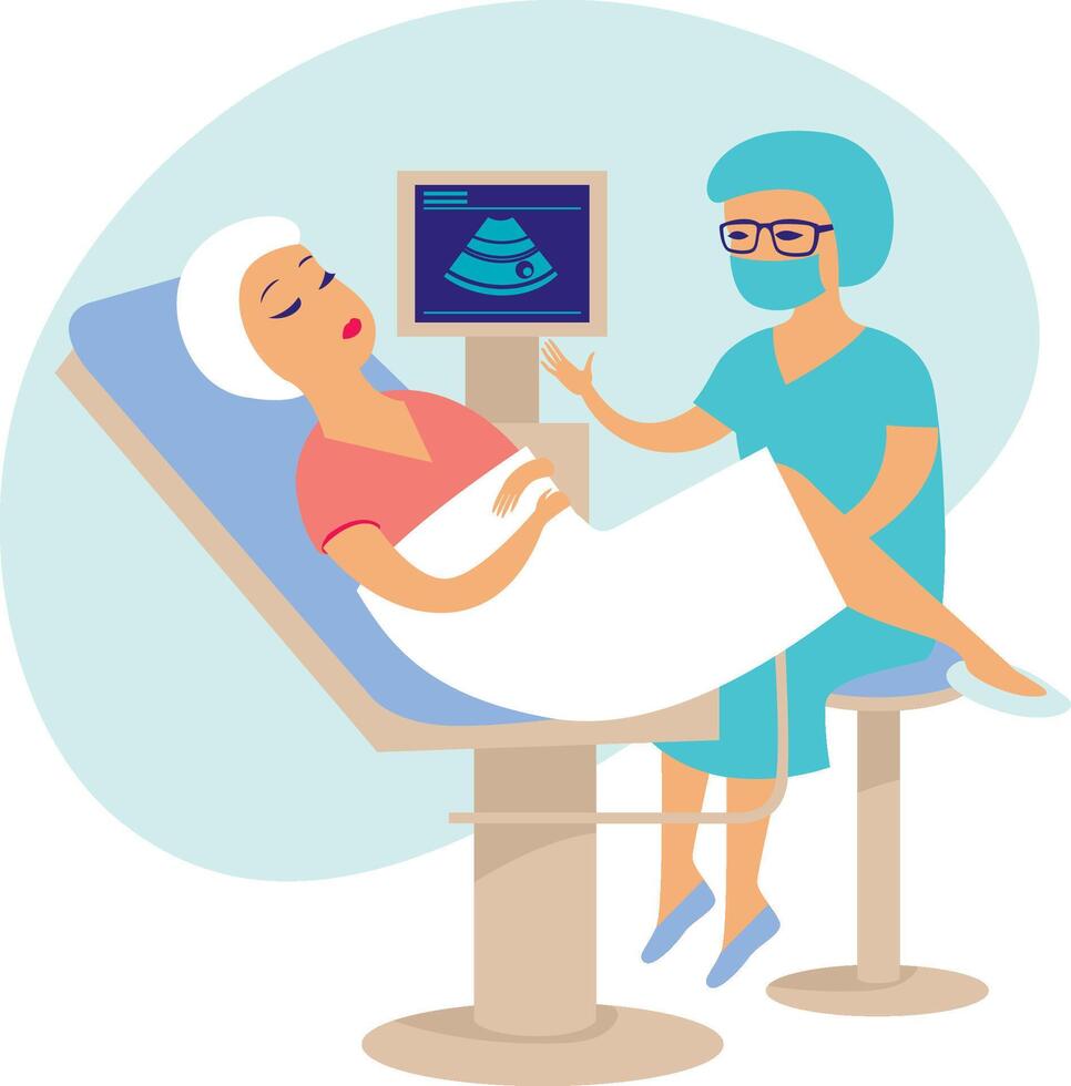 A woman is getting an ultrasound in a hospital vector