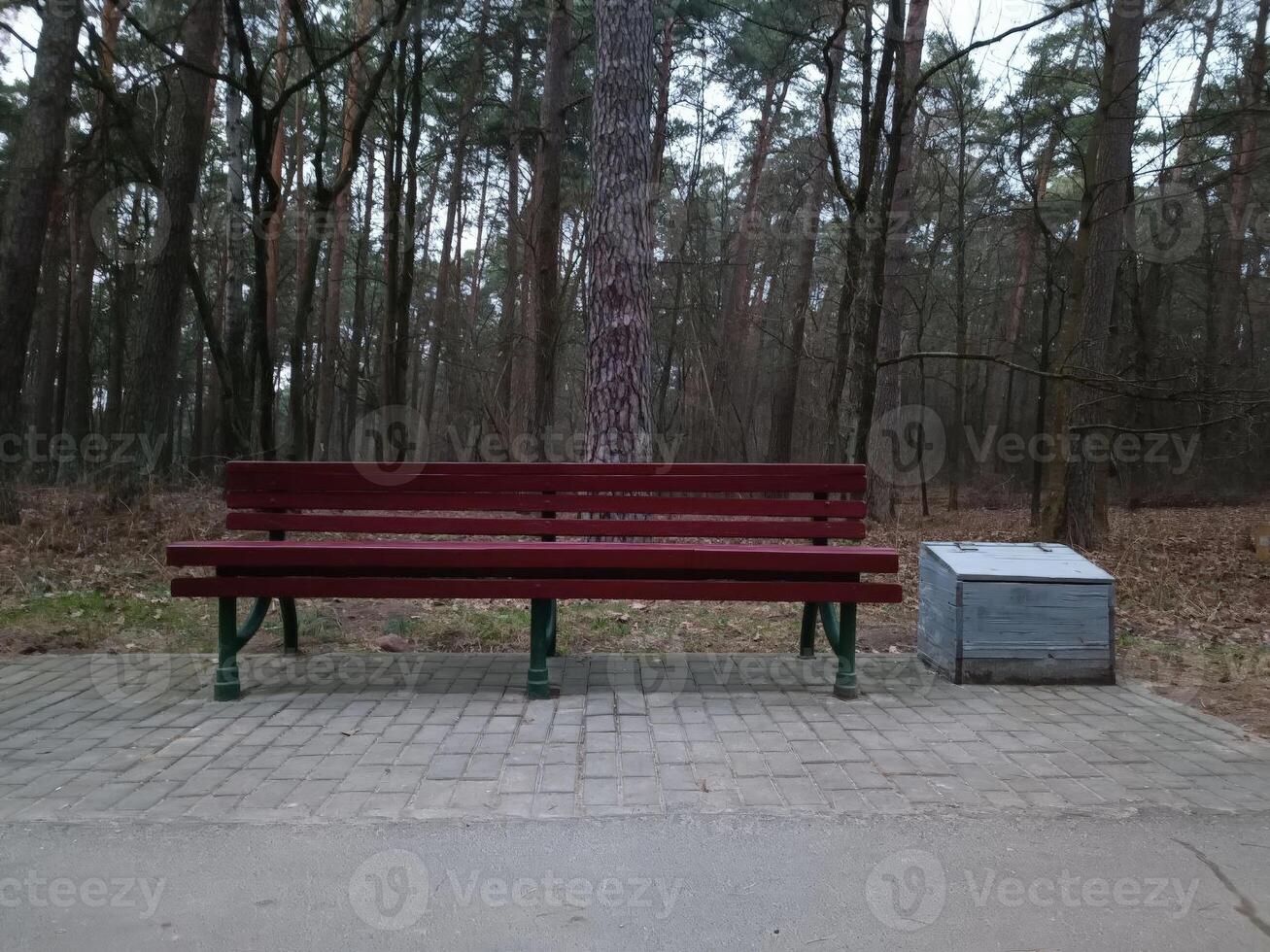 An empty wooden bench in a tranquil forest setting, inviting relaxation and solitude. Ideal for outdoor, leisure, and nature themes. photo