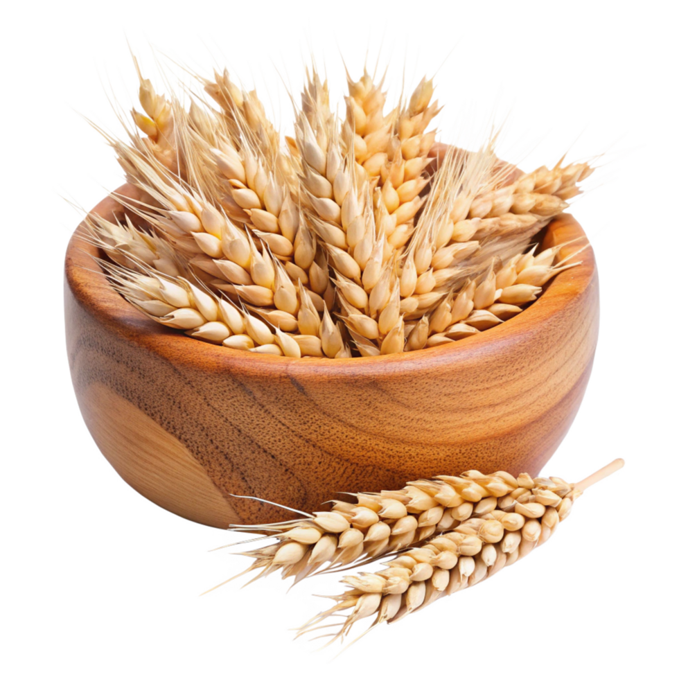 Golden Wheat Ears in a Wooden Bowl a Rich Harvest of Grains png