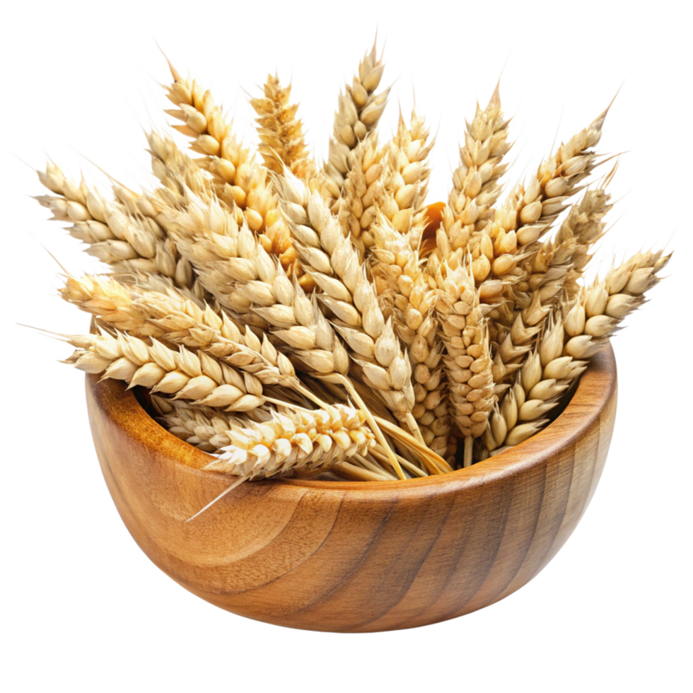 Golden Wheat Ears in a Wooden Bowl A Harvest Bounty of Grains png