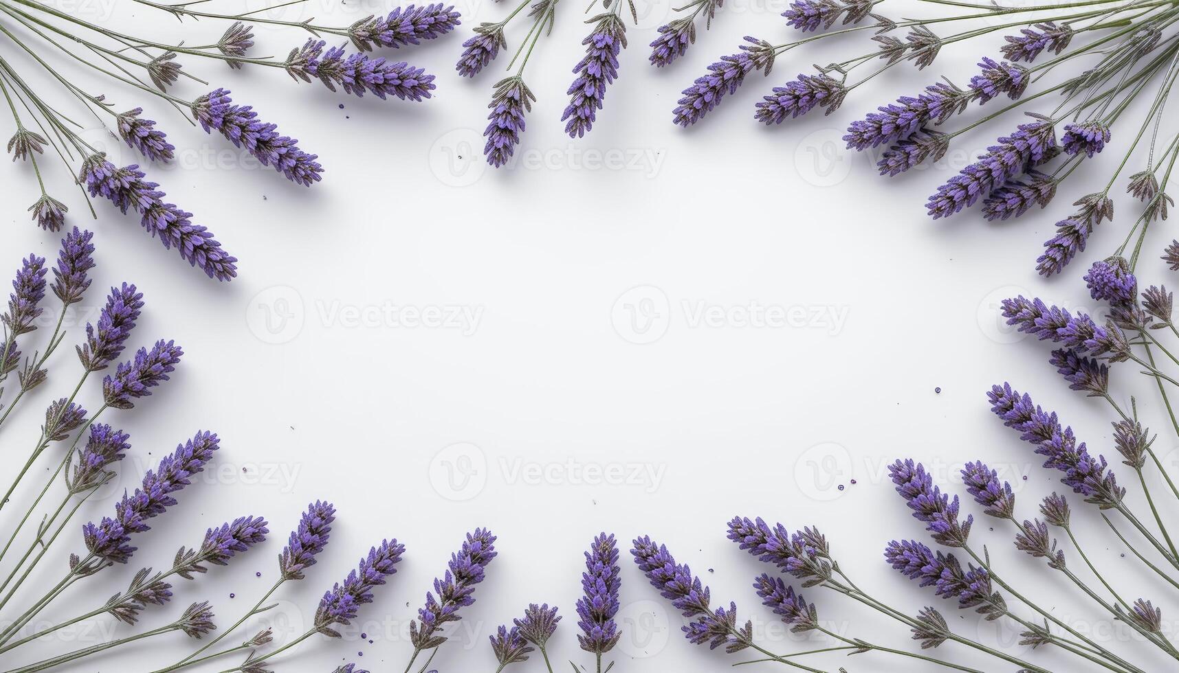 Lavender flowers are creatively arranged around the edges of a white background, creating a natural border. The composition is simple and elegant, highlighting the beauty of lavender. photo
