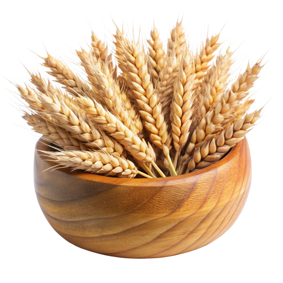 Golden Wheat Sheaves in a Rustic Wooden Bowl A Harvest Bounty of Grains png