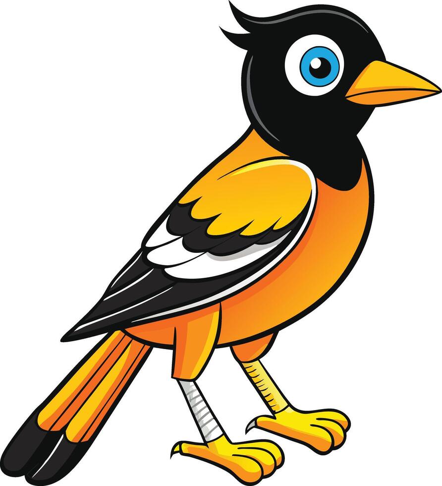 Baltimore oriole cartoon bird vector