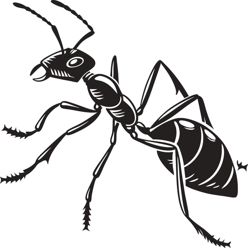 Ant clip art vector