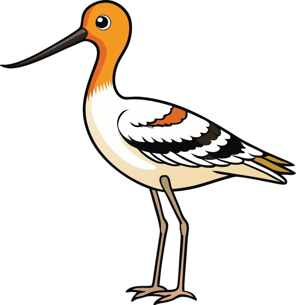A cartoon bird with a long beak and white and orange feathers vector