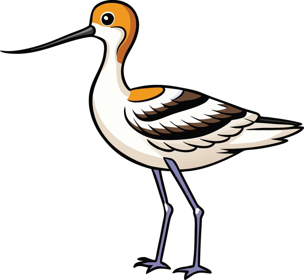 A cartoon bird with long legs and a long beak vector