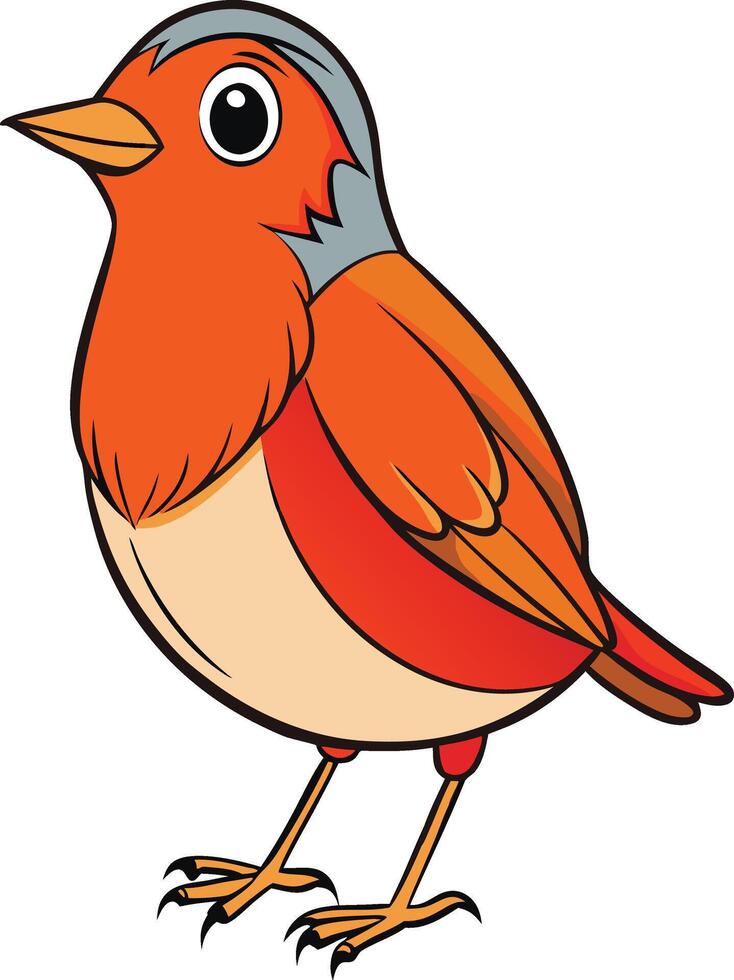 A cartoon bird with orange and gray feathers vector