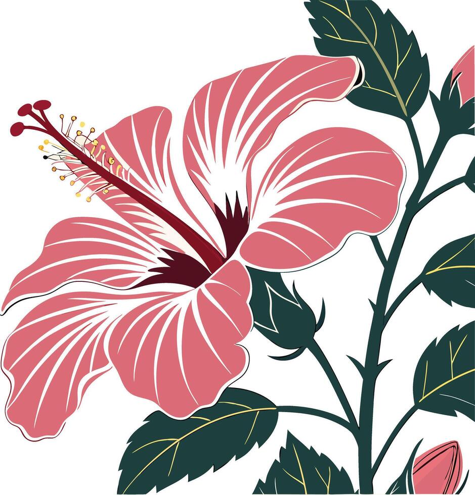 A pink hibiscus flower is shown on a white background vector