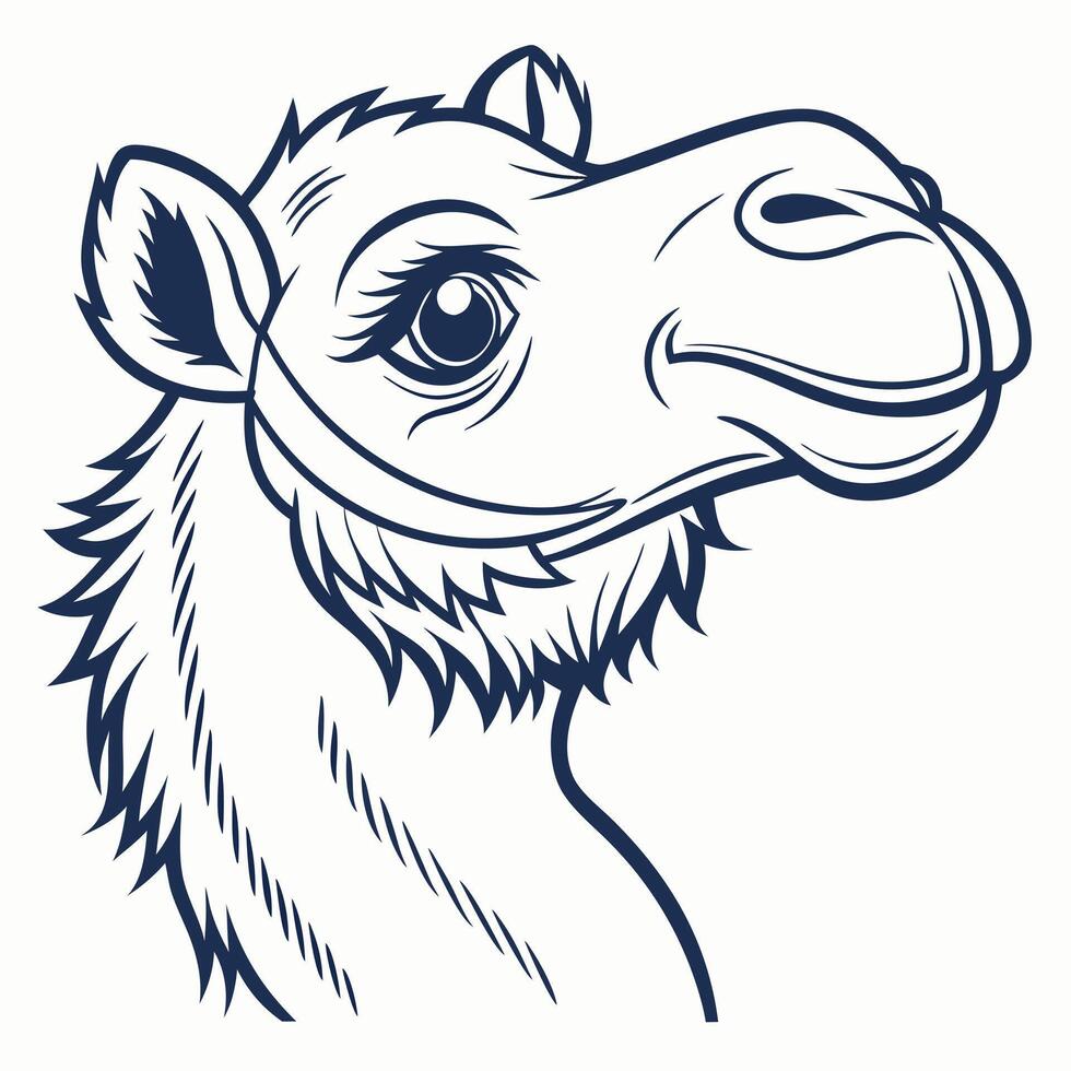 Head of camel with bridle on isolated background vector